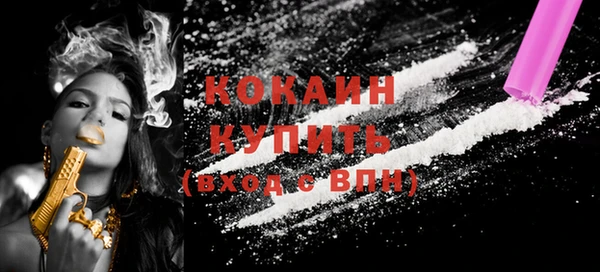 индика Краснотурьинск