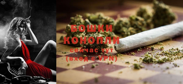 прущие грибы Краснослободск